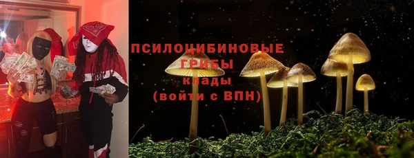 герыч Вяземский