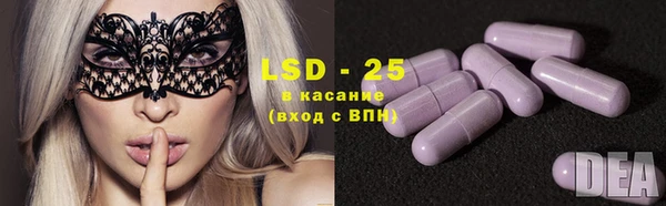 стаф Горнозаводск