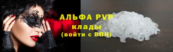 стаф Горнозаводск