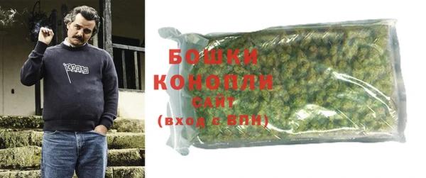 стаф Горнозаводск