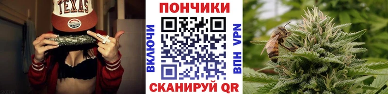 Конопля AK-47  Купить где  Луга 